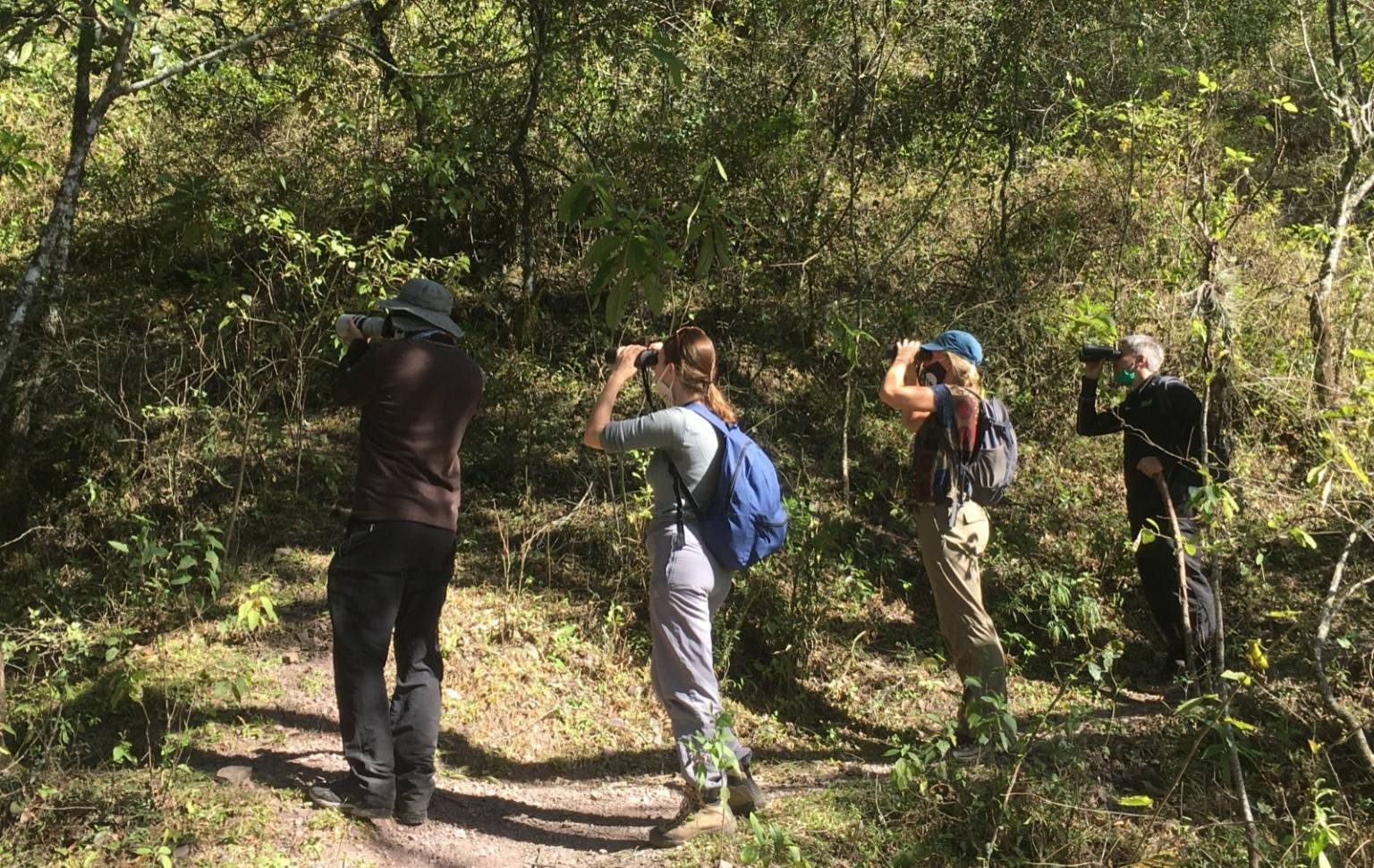 Interpretación ambiental y avistaje de aves.