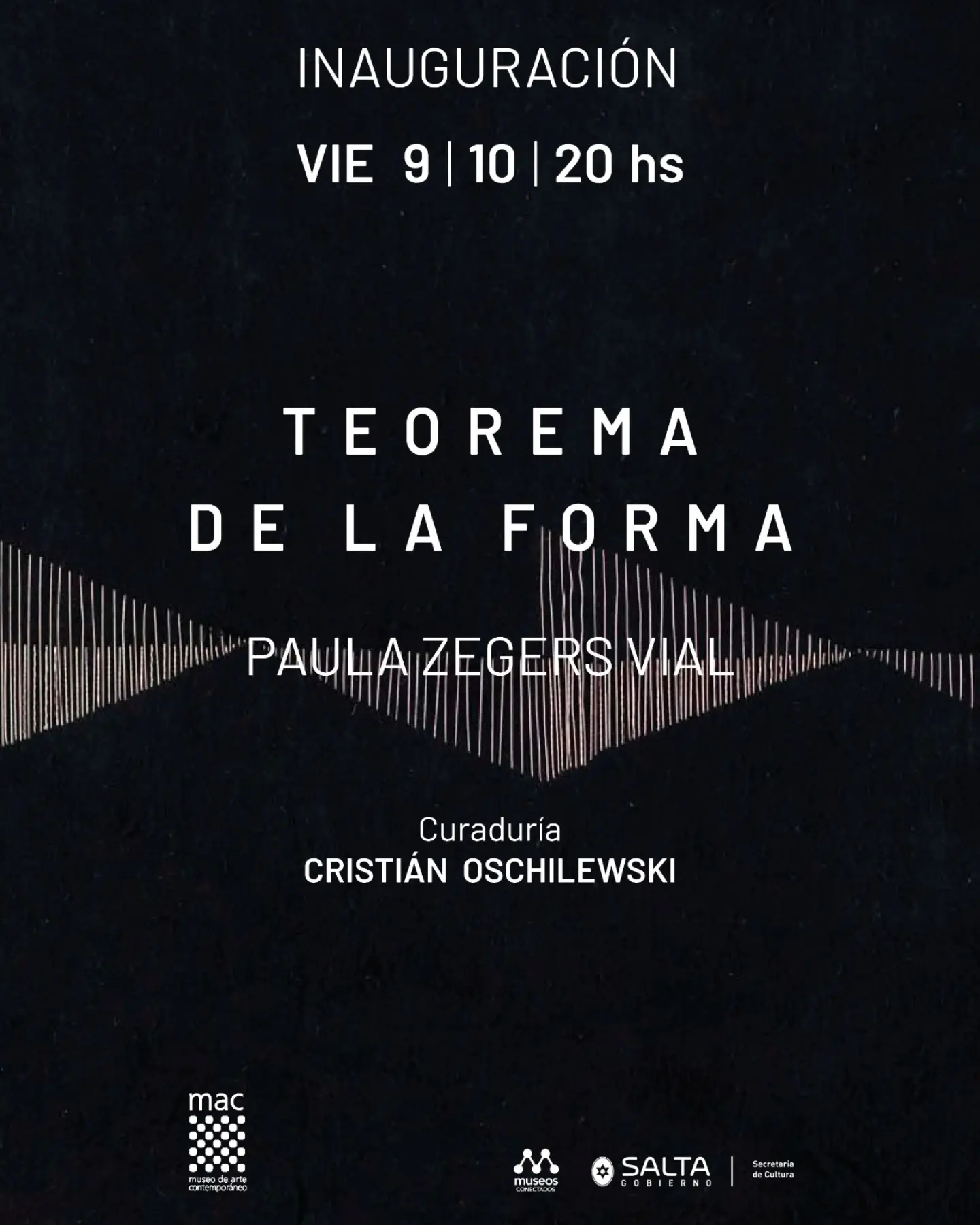 Inauguración – Nueva muestra "Teorema de la Forma" - Paula Zegers Vial.