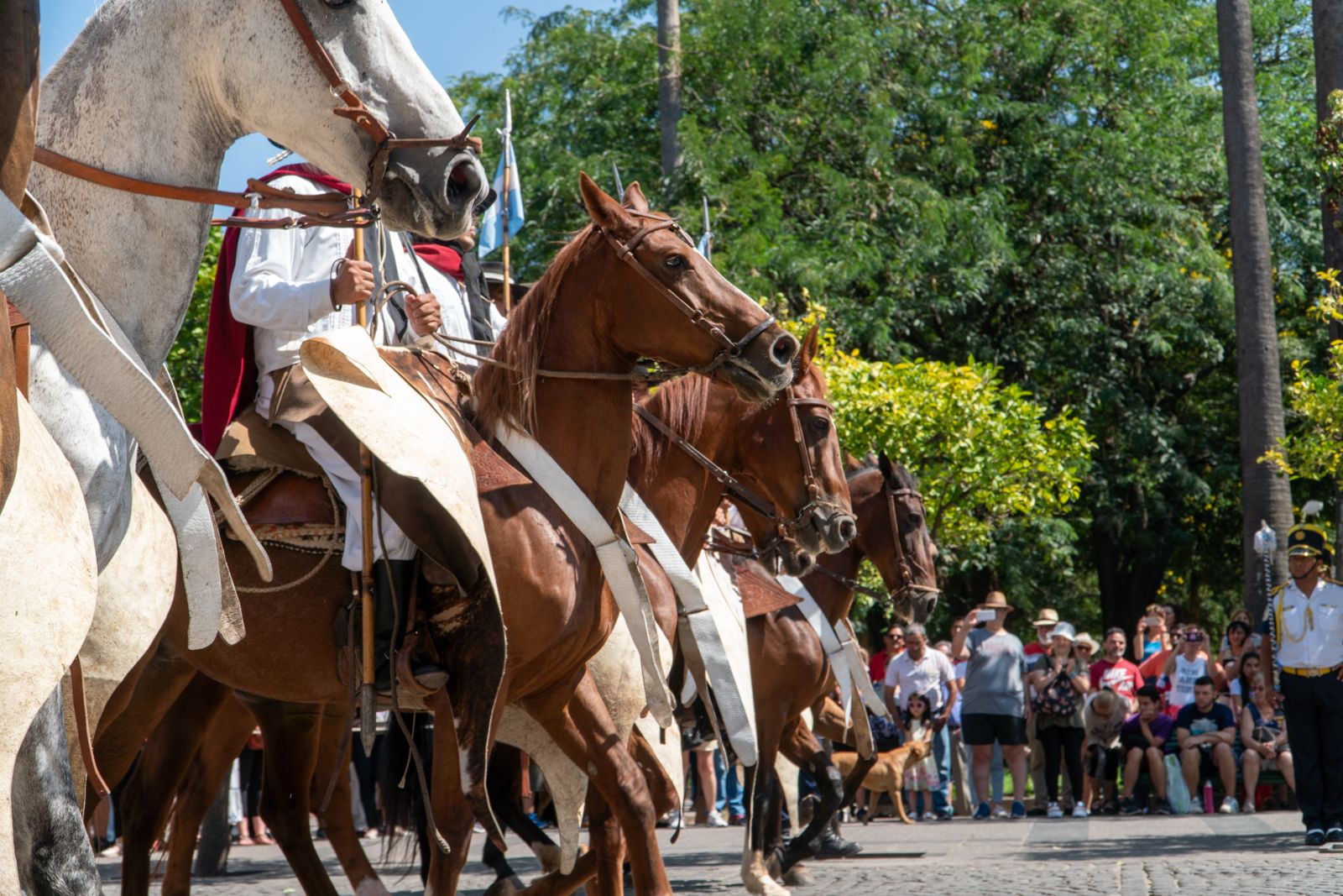 Cambio de Guardia.